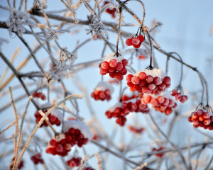 Вихідні в Україні здивують різкими змінами погоди